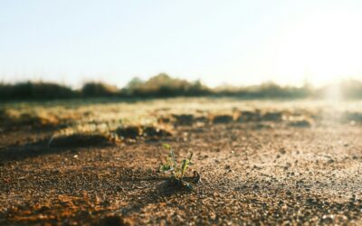 Resilience Is More Than Endurance: Recovery, Flexibility, and the Next Constructive Move