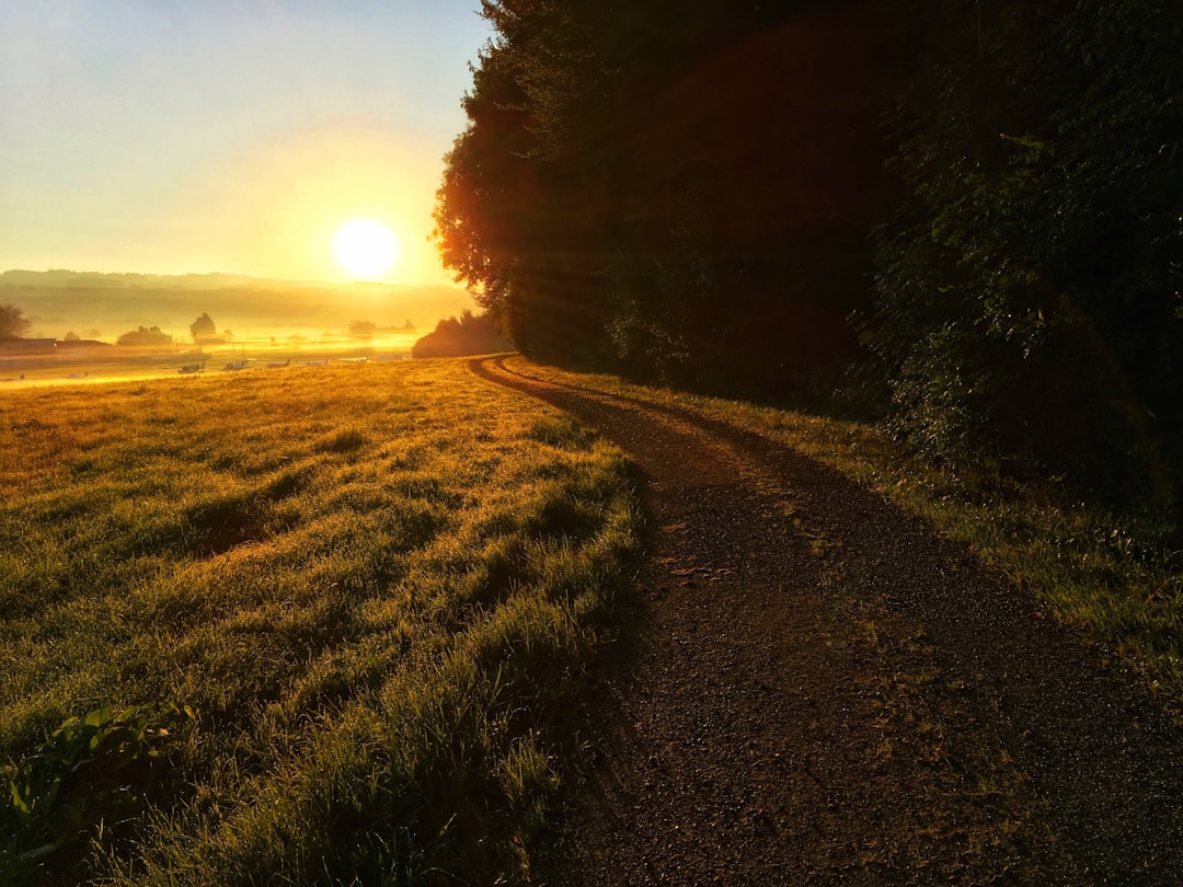 Natural path representing resilience, recovery, and continuing forward