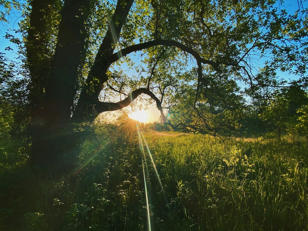 Sunrise hiking scene representing adaptability, effort, and renewed direction